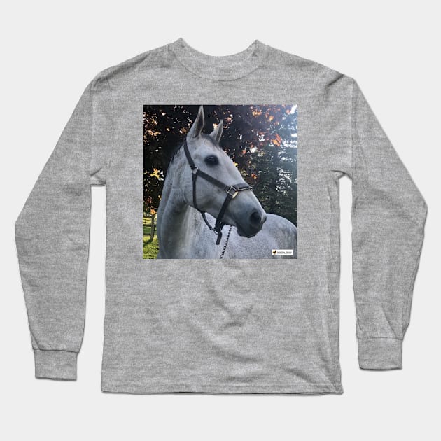 Platinum Long Sleeve T-Shirt by SunshineHorses